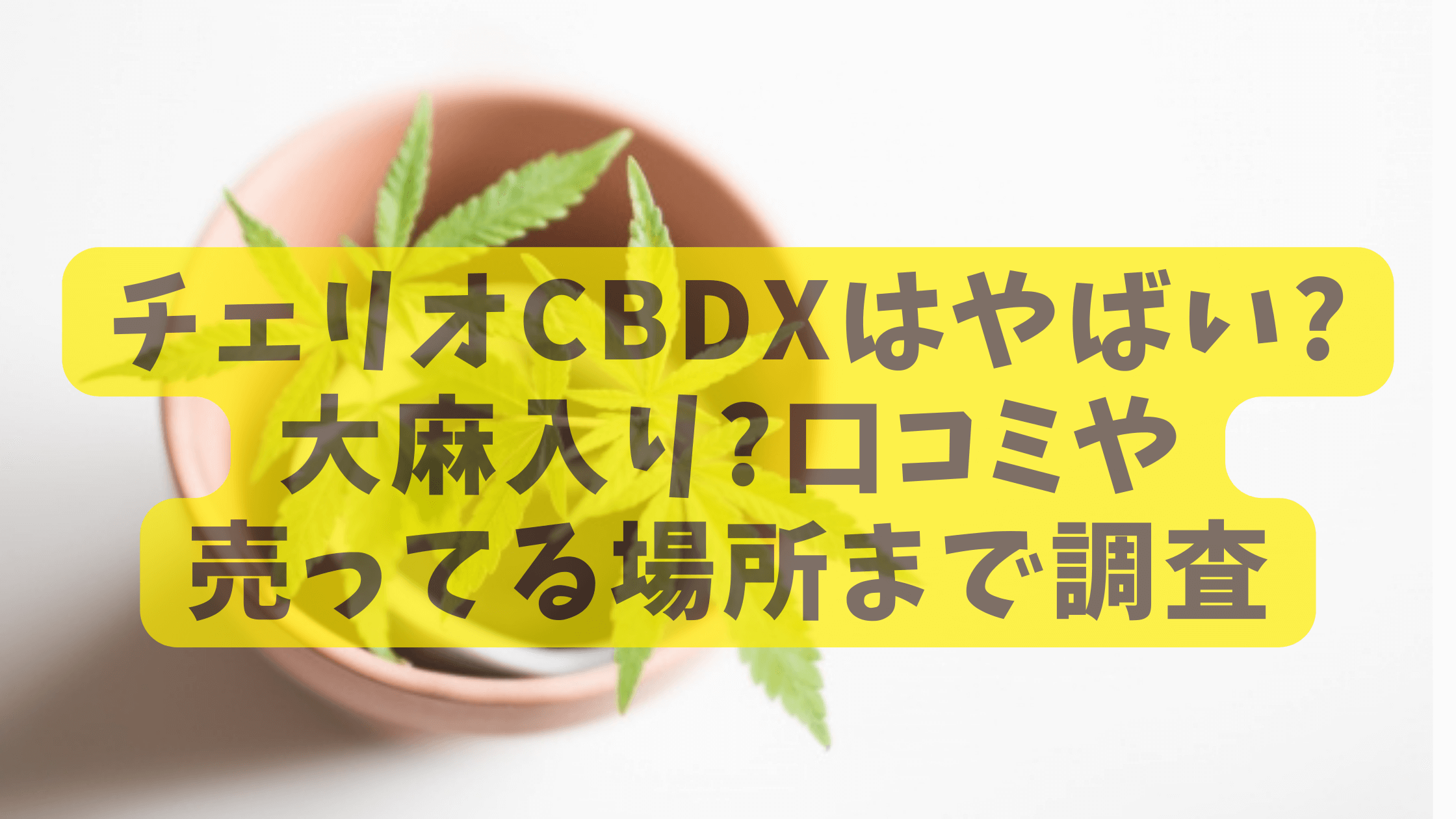 チェリオCBDXはやばい?口コミや売ってる場所まで調査